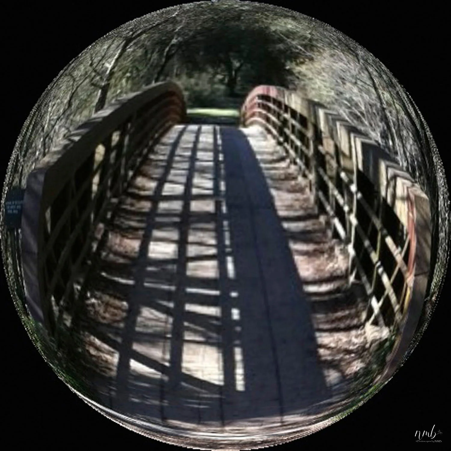05web_bridges.jpg