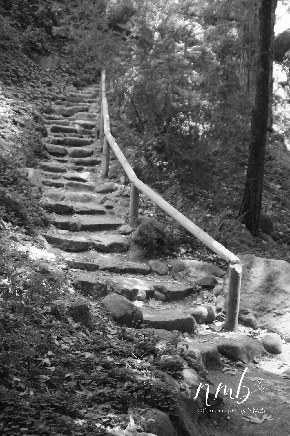 06web_bridges.jpg