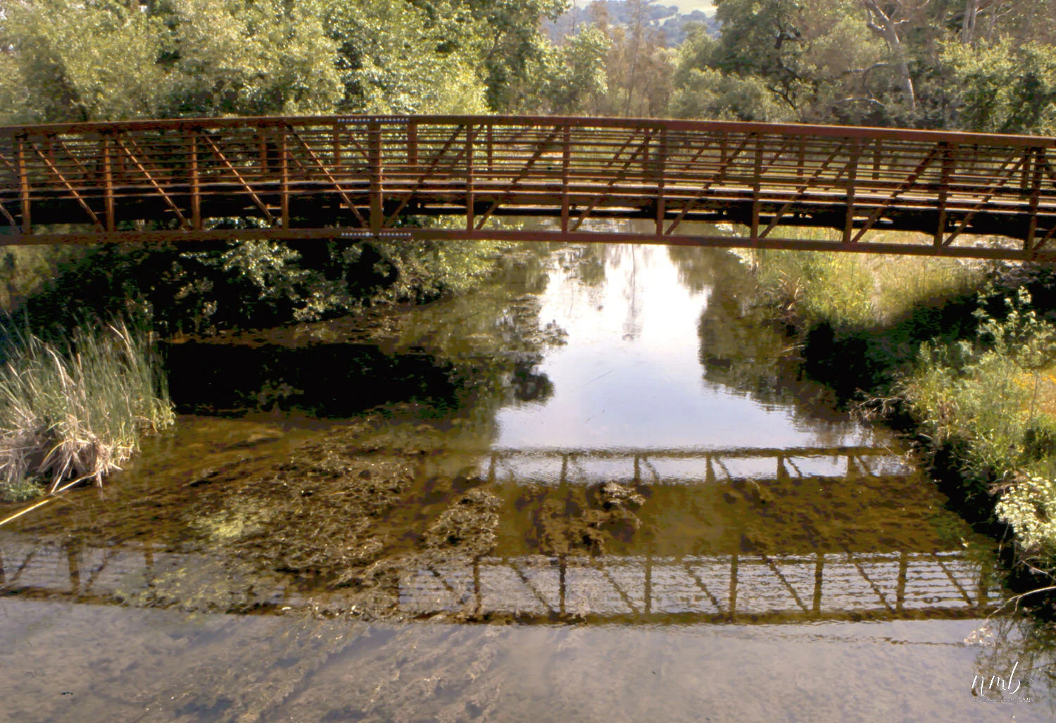 02web_bridges.jpg