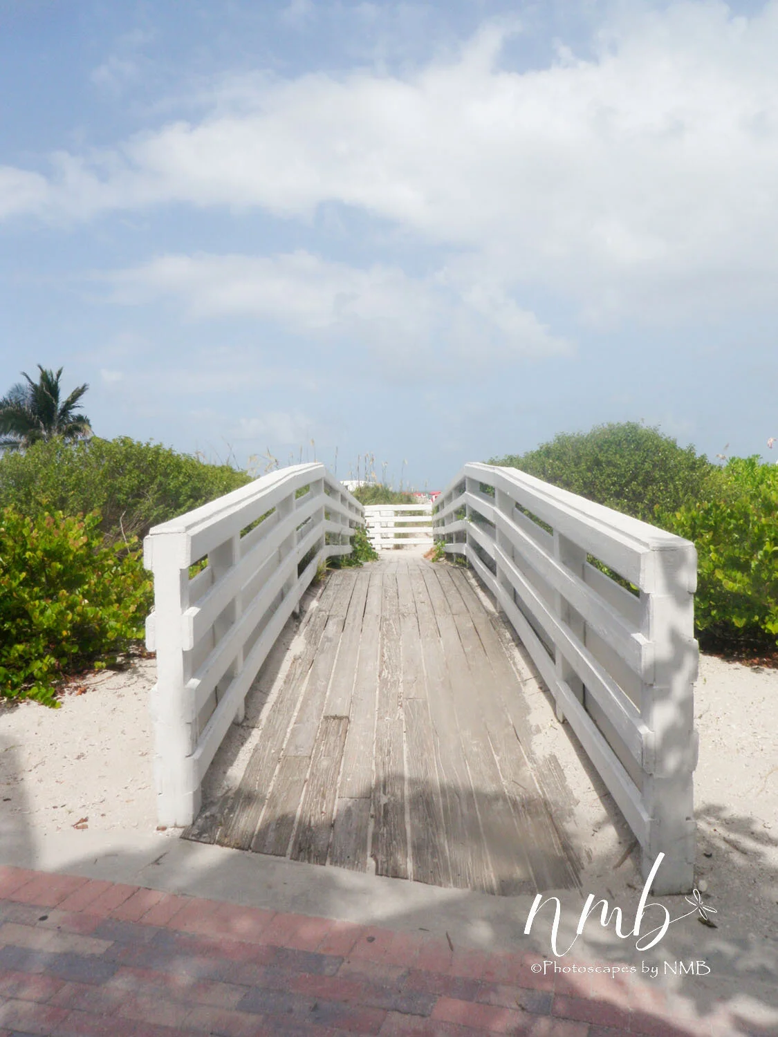 10web_bridges.jpg