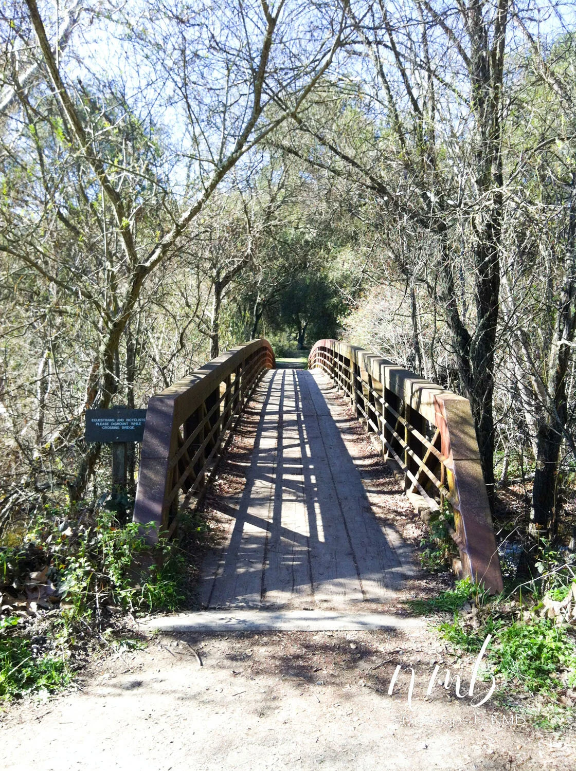 04web_bridges.jpg