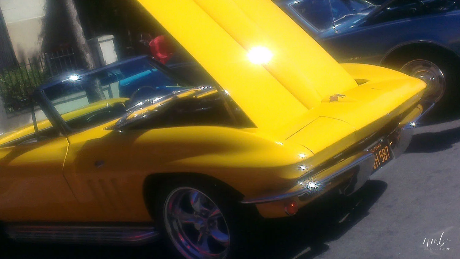 06web_CARS.jpg