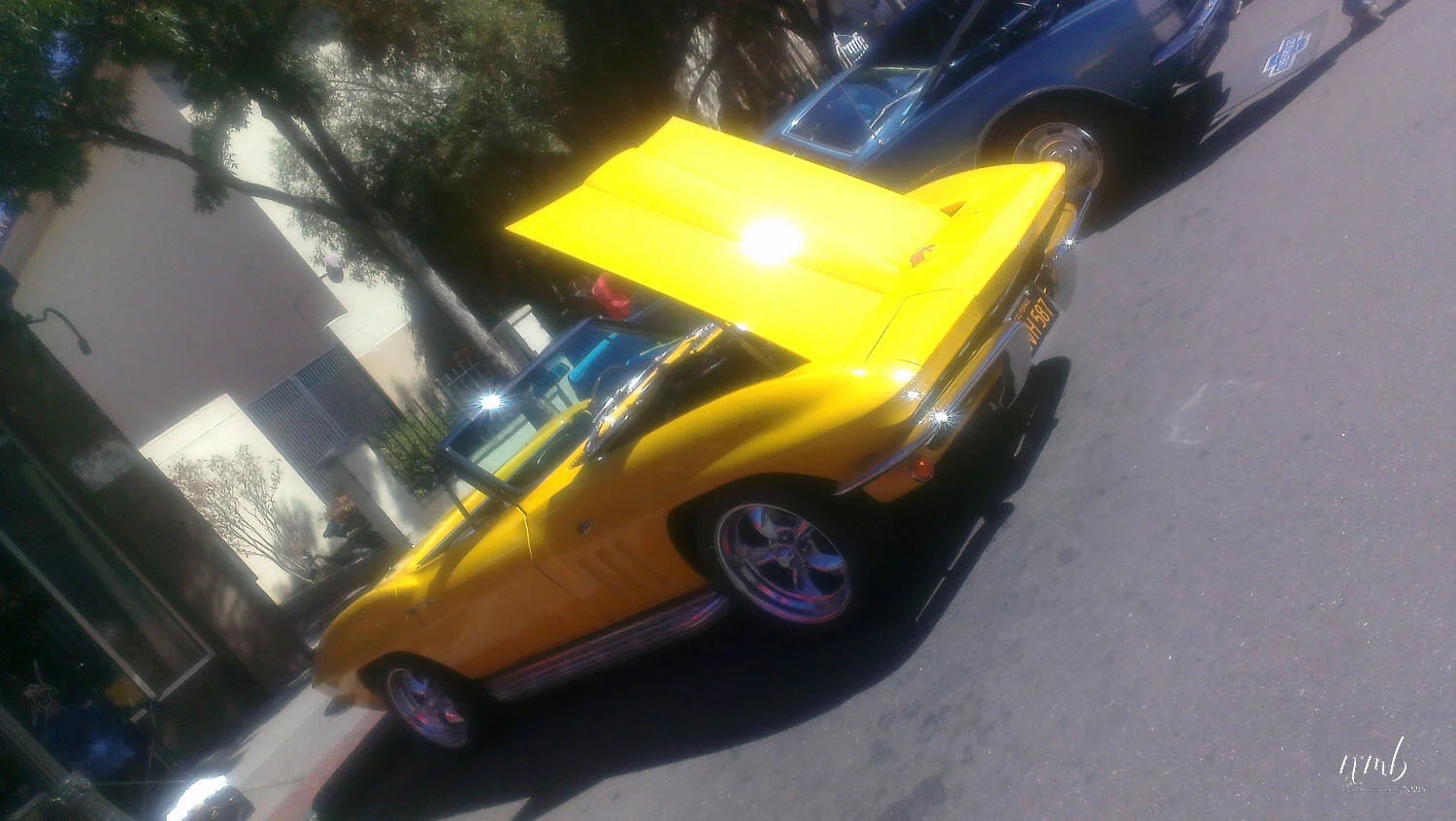 07web_CARS.jpg
