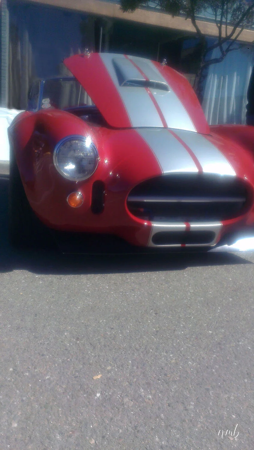 14web_CARS.jpg