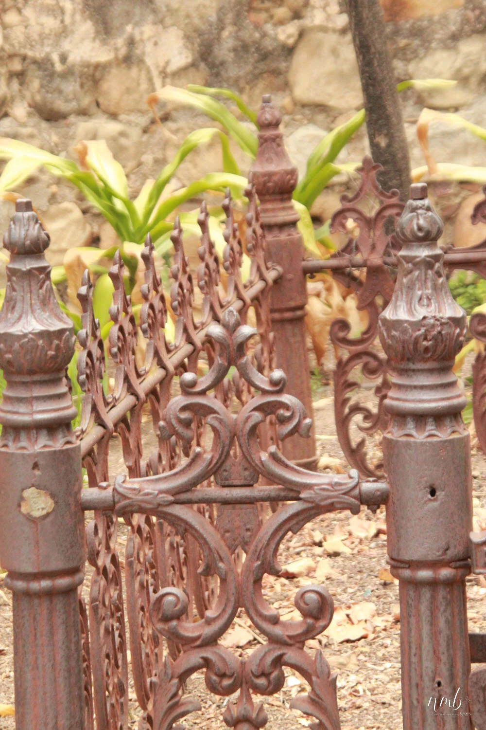 08web_Cemeteries.jpg