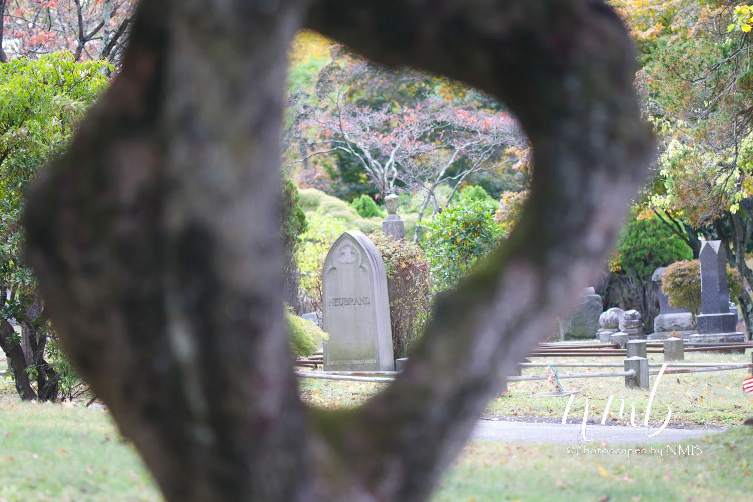 09web_Cemeteries.jpg