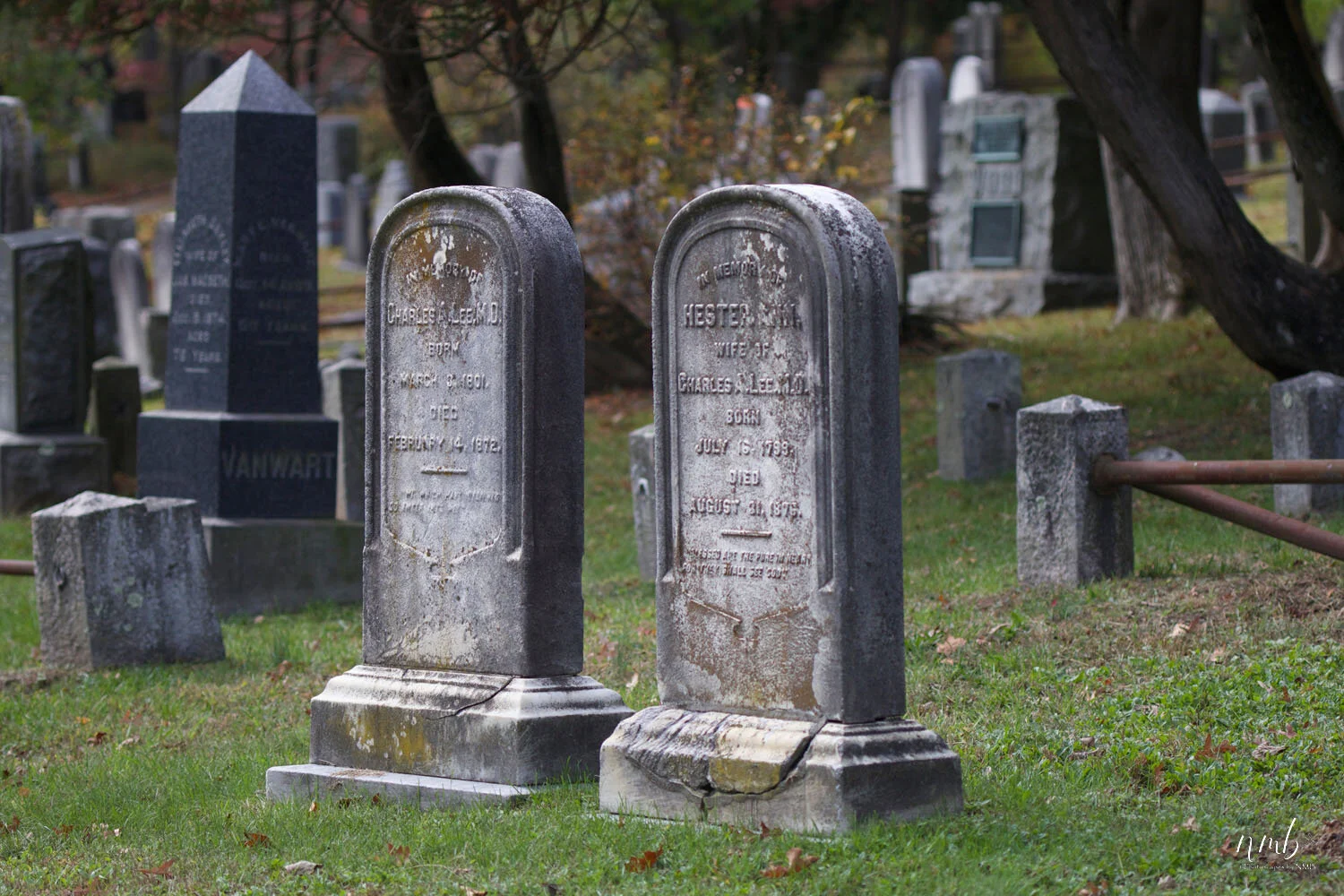 13web_Cemeteries.jpg