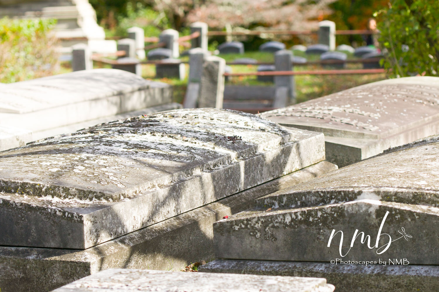 14web_Cemeteries.jpg