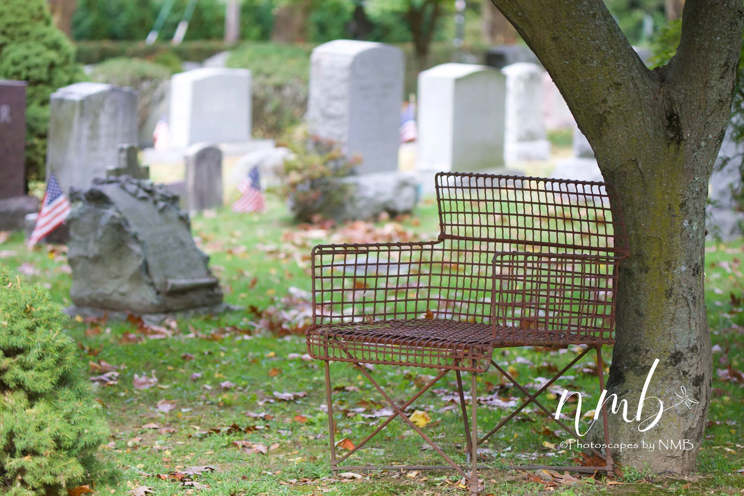 17web_Cemeteries.jpg