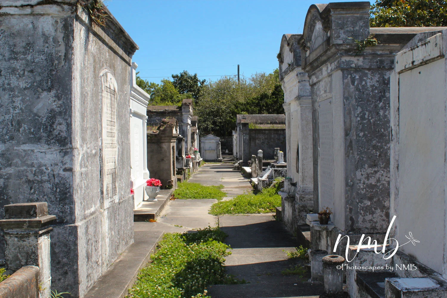 19web_Cemeteries.jpg