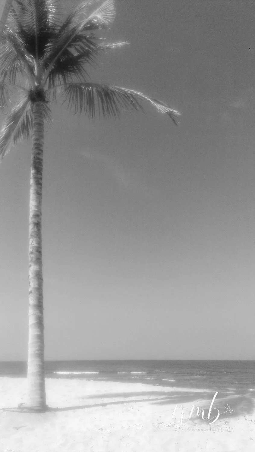 10web_Hawaii.jpg