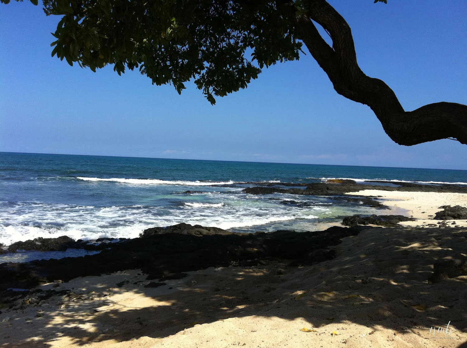 12web_Hawaii.jpg