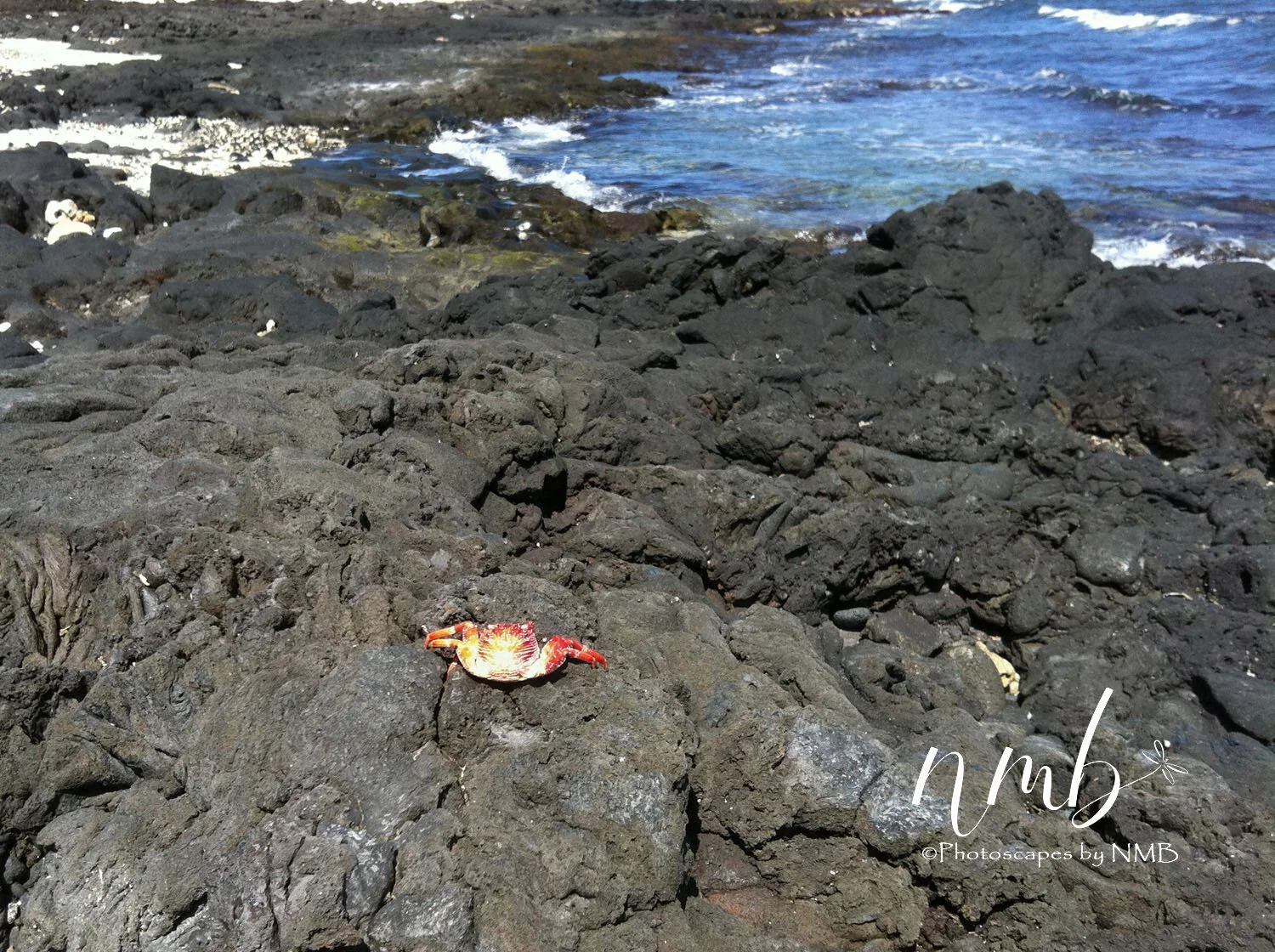 17web_Hawaii.jpg
