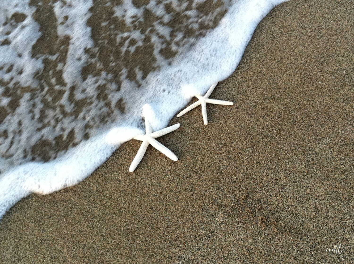 20web_Hawaii.jpg