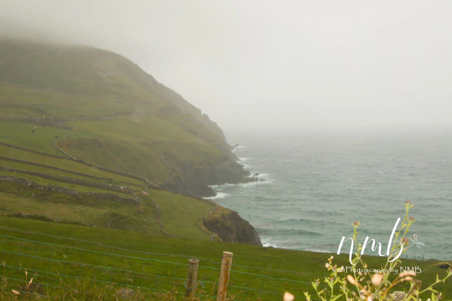 21web_Ireland.jpg
