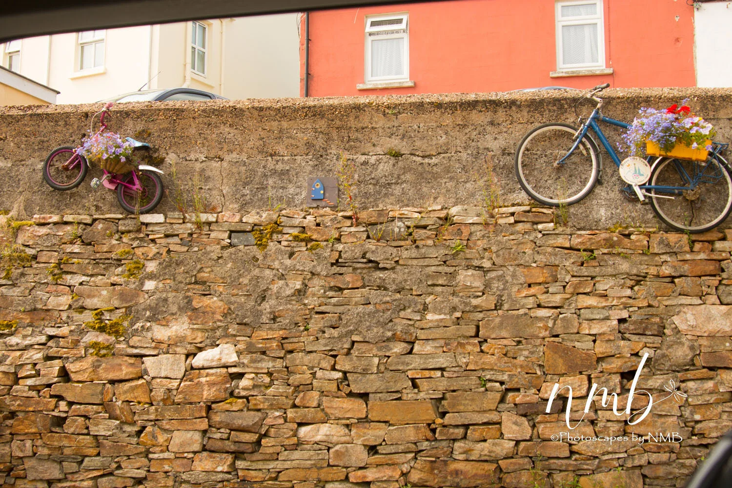 29web_Ireland.jpg