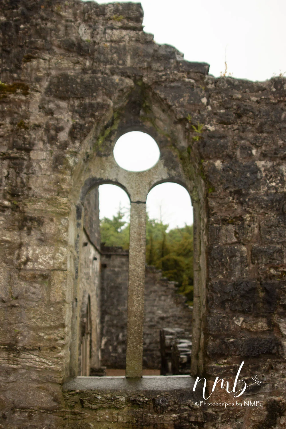 37web_Ireland.jpg