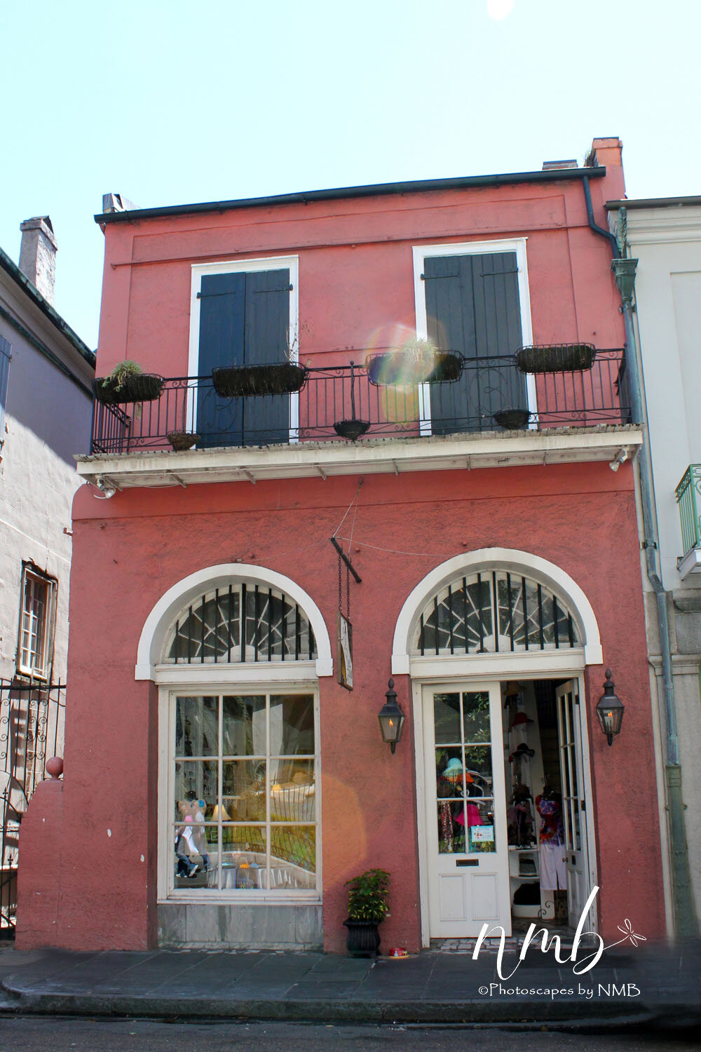 01web_nola reva.jpg