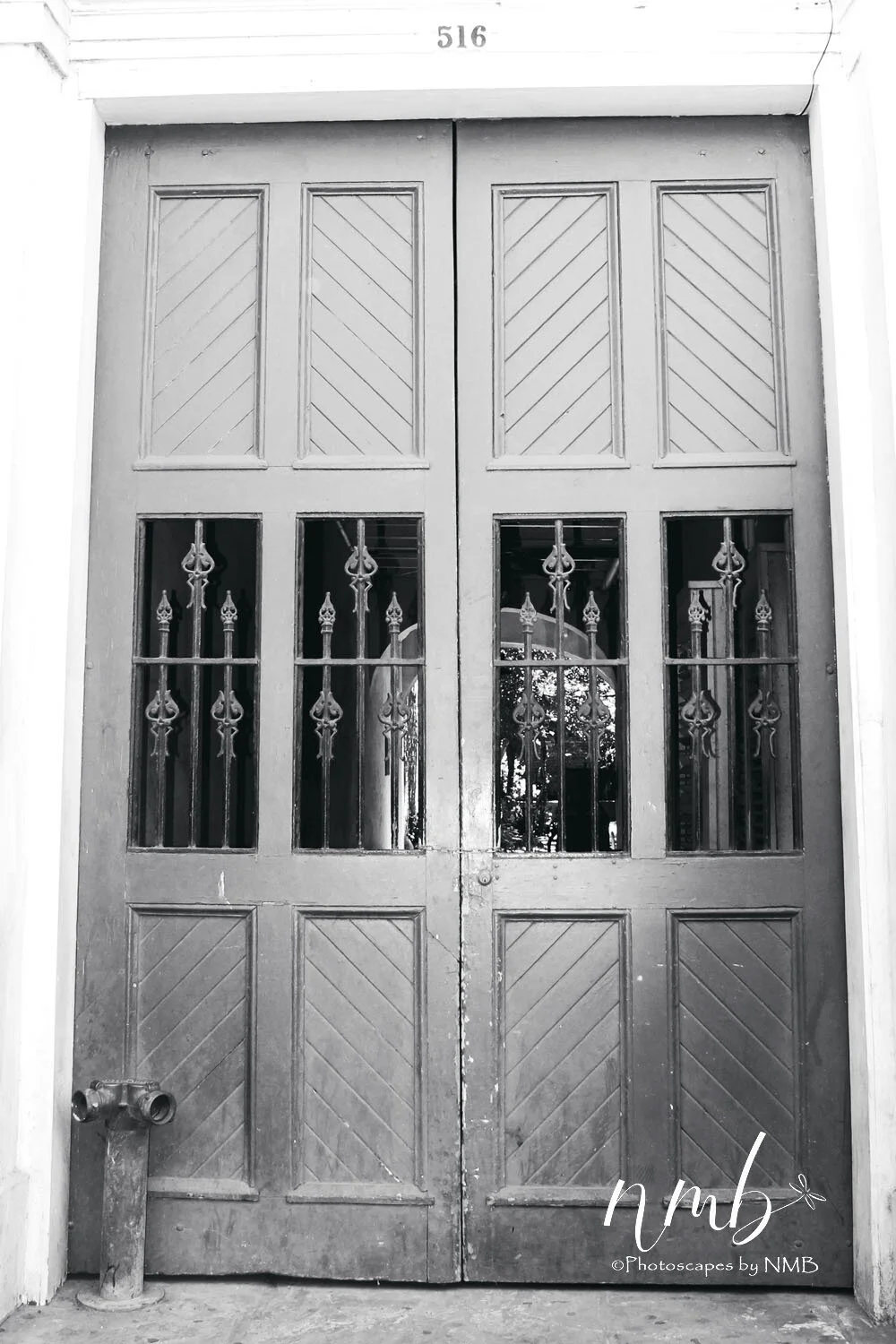 05web_nola reva.jpg