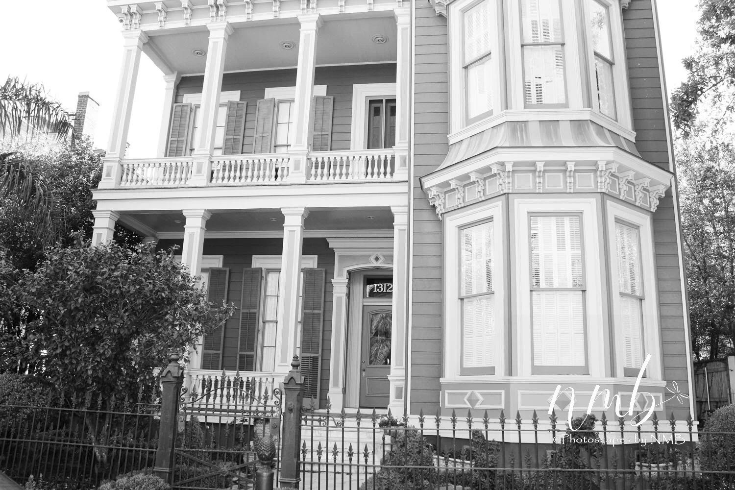 09web_nola reva.jpg