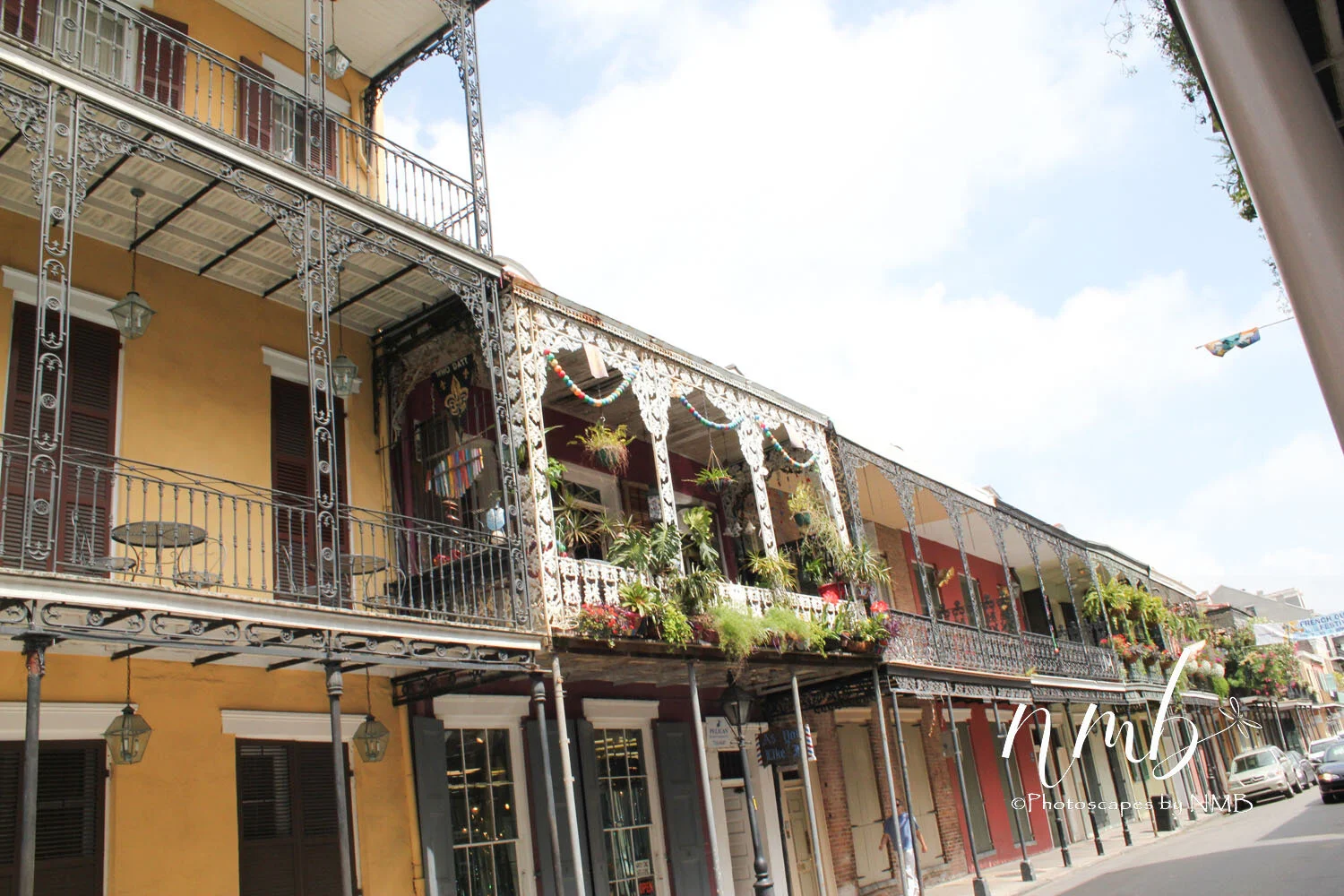 12web_nola reva.jpg
