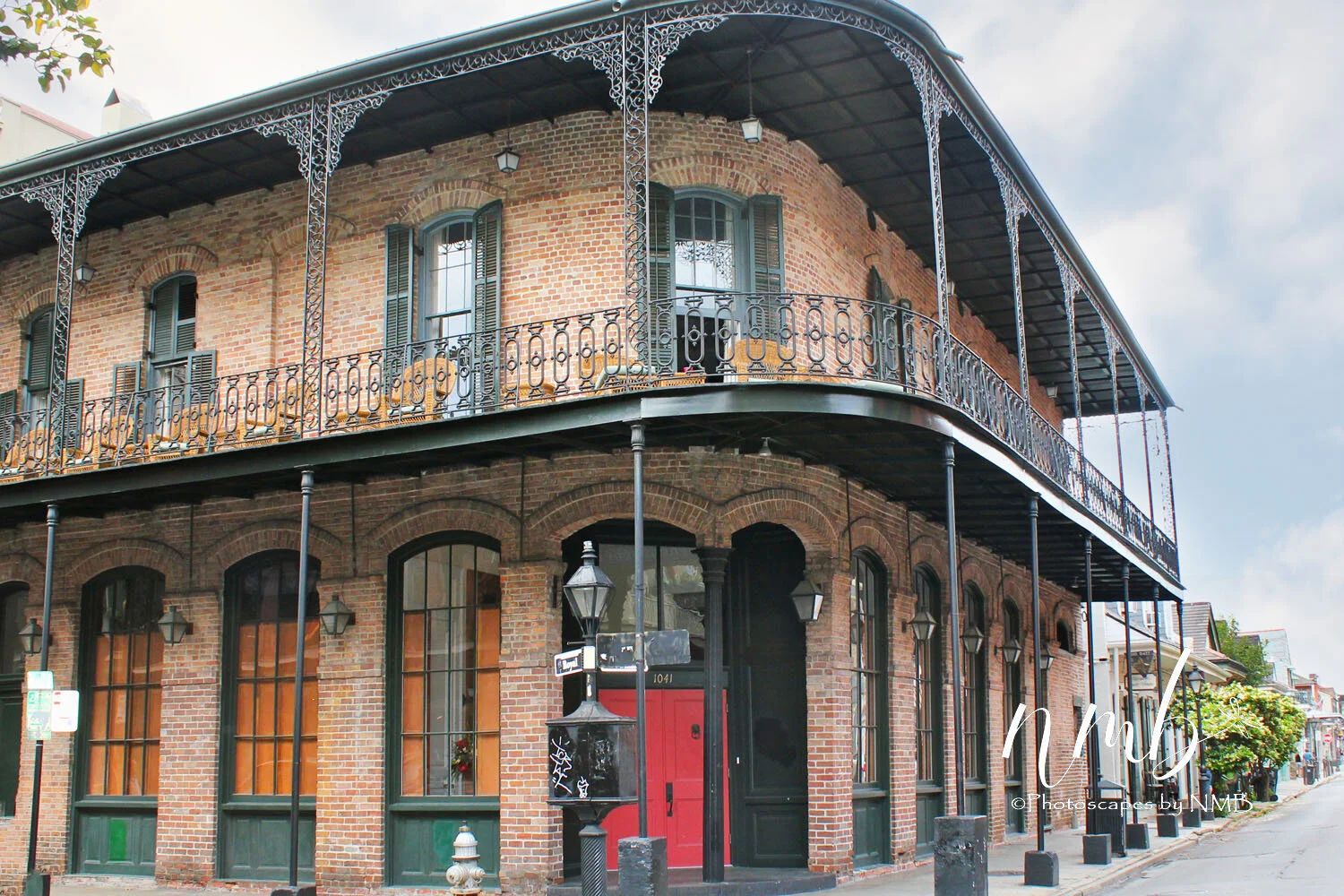 11web_nola reva.jpg