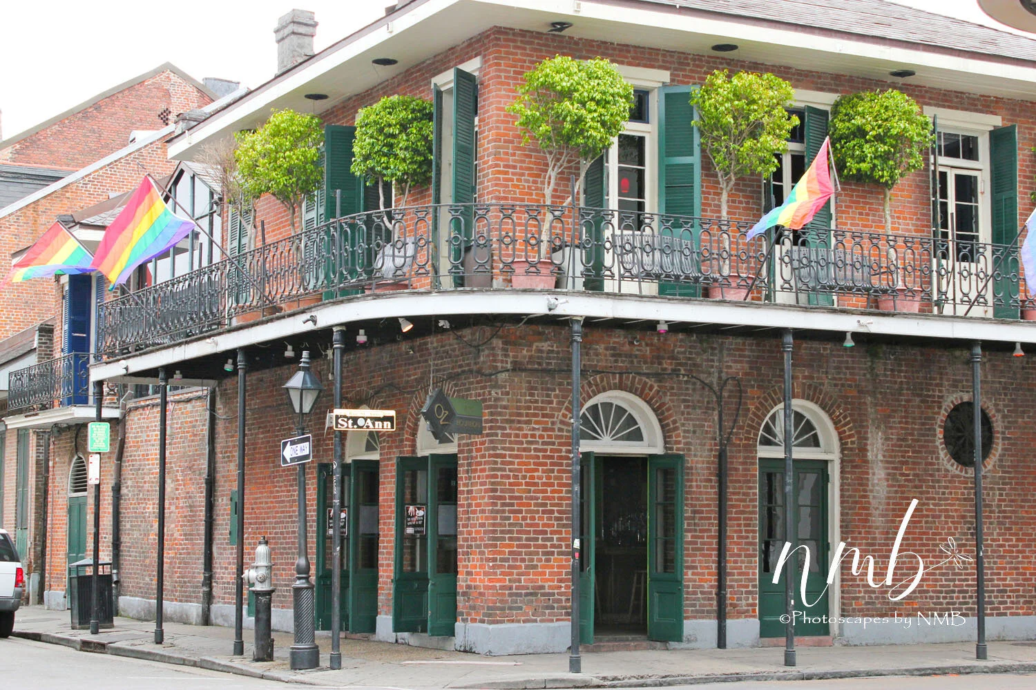 18web_nola reva.jpg