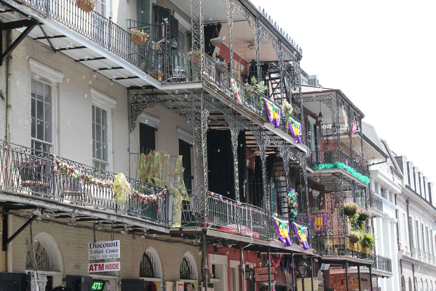 22web_nola reva.jpg