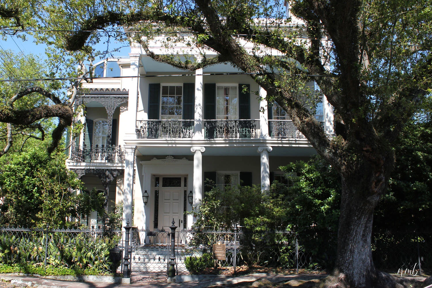 19web_nola reva.jpg