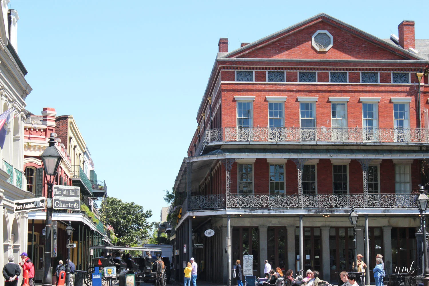 24web_nola reva.jpg
