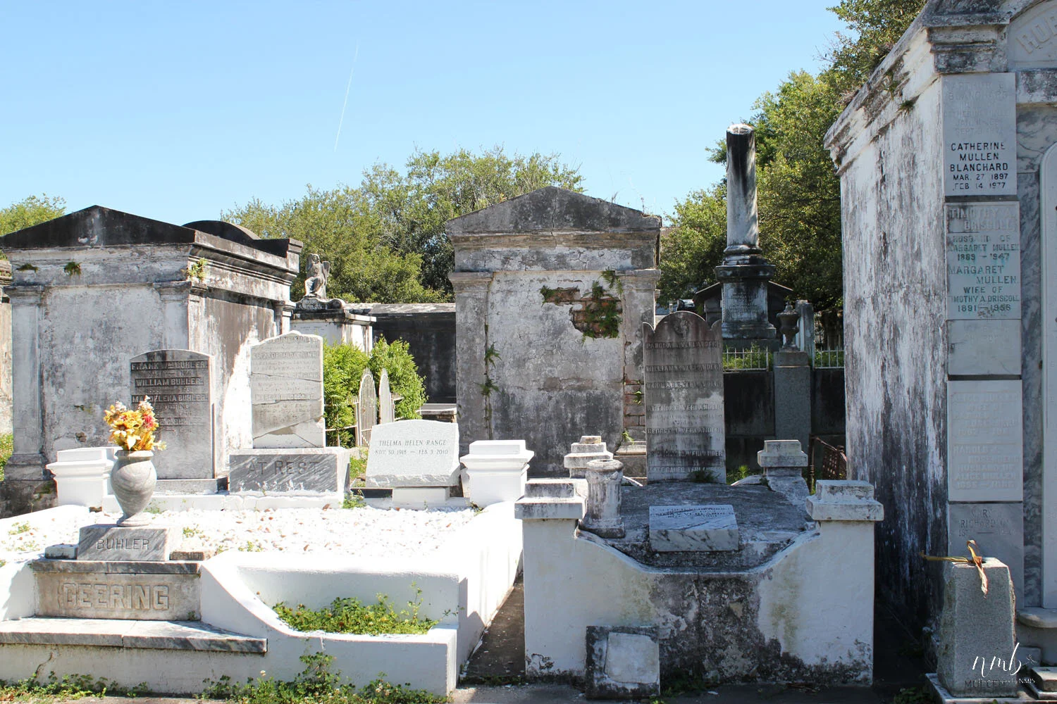 32web_nola reva.jpg