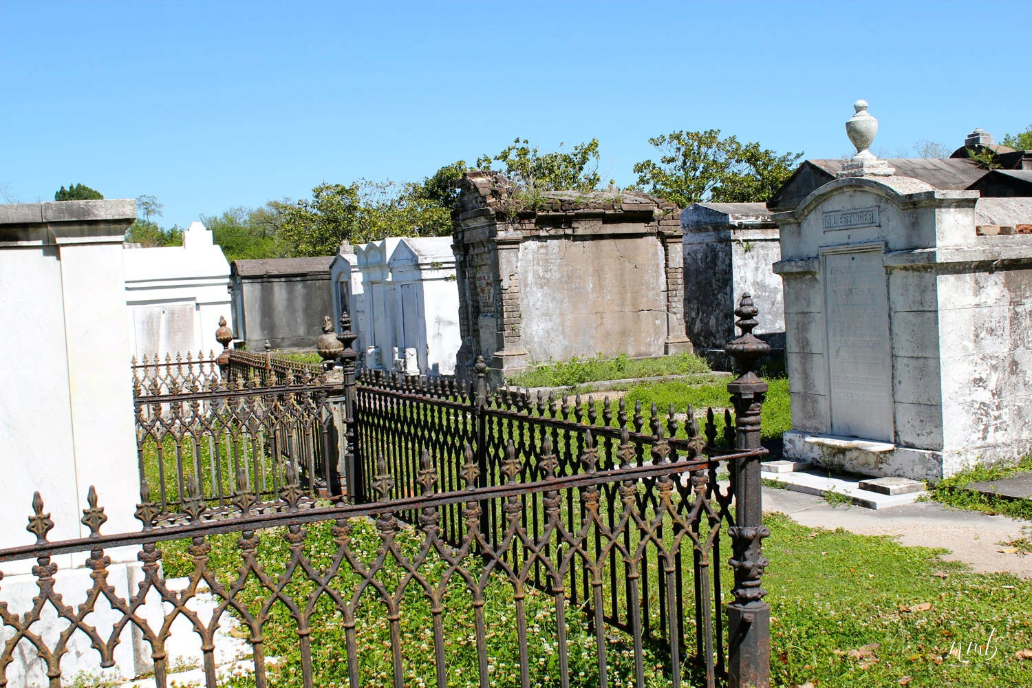33web_nola reva.jpg