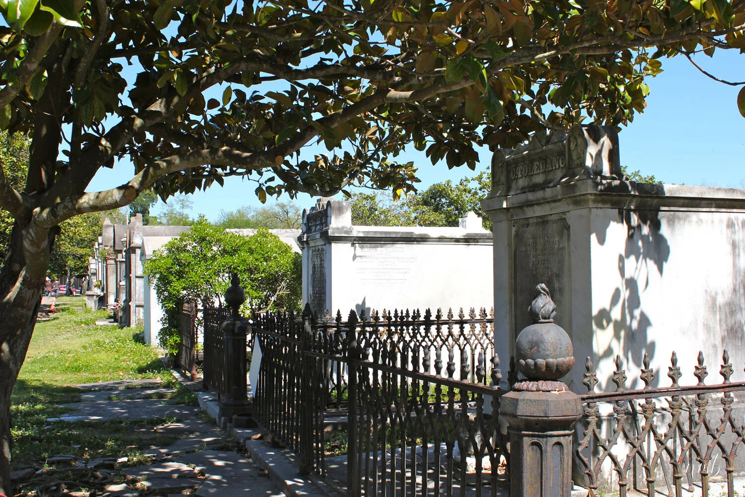 34web_nola reva.jpg