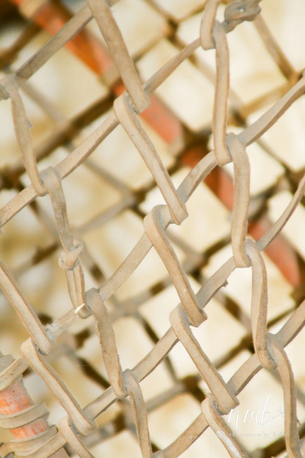 04web_texture.jpg