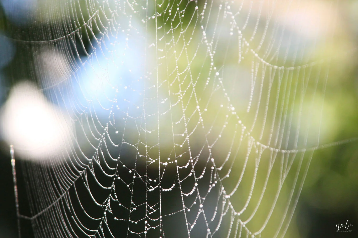 07web_texture.jpg