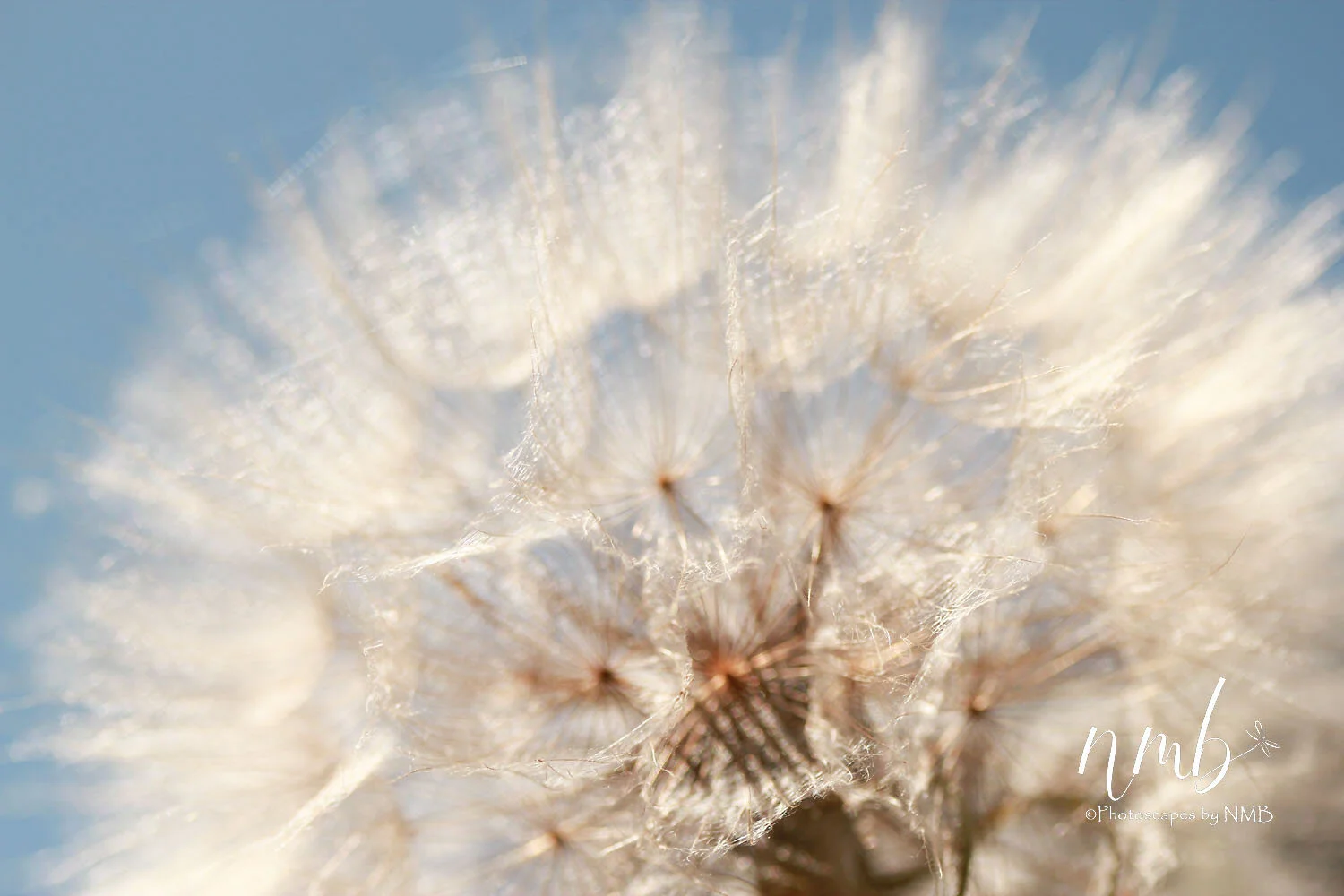 08web_texture.jpg