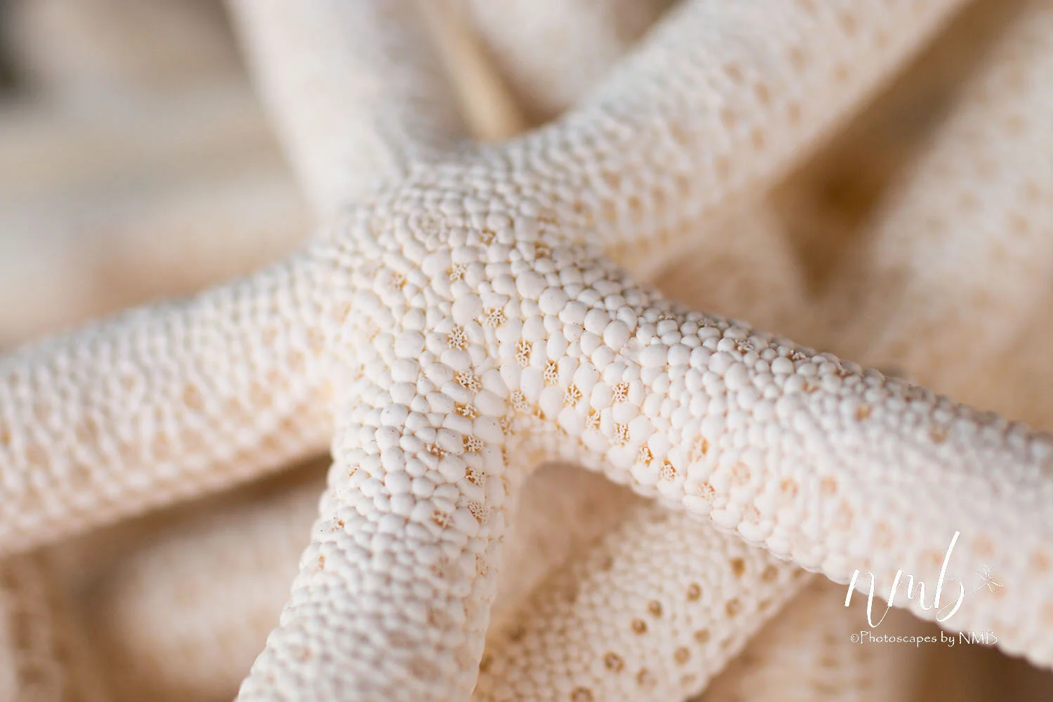 12web_texture.jpg