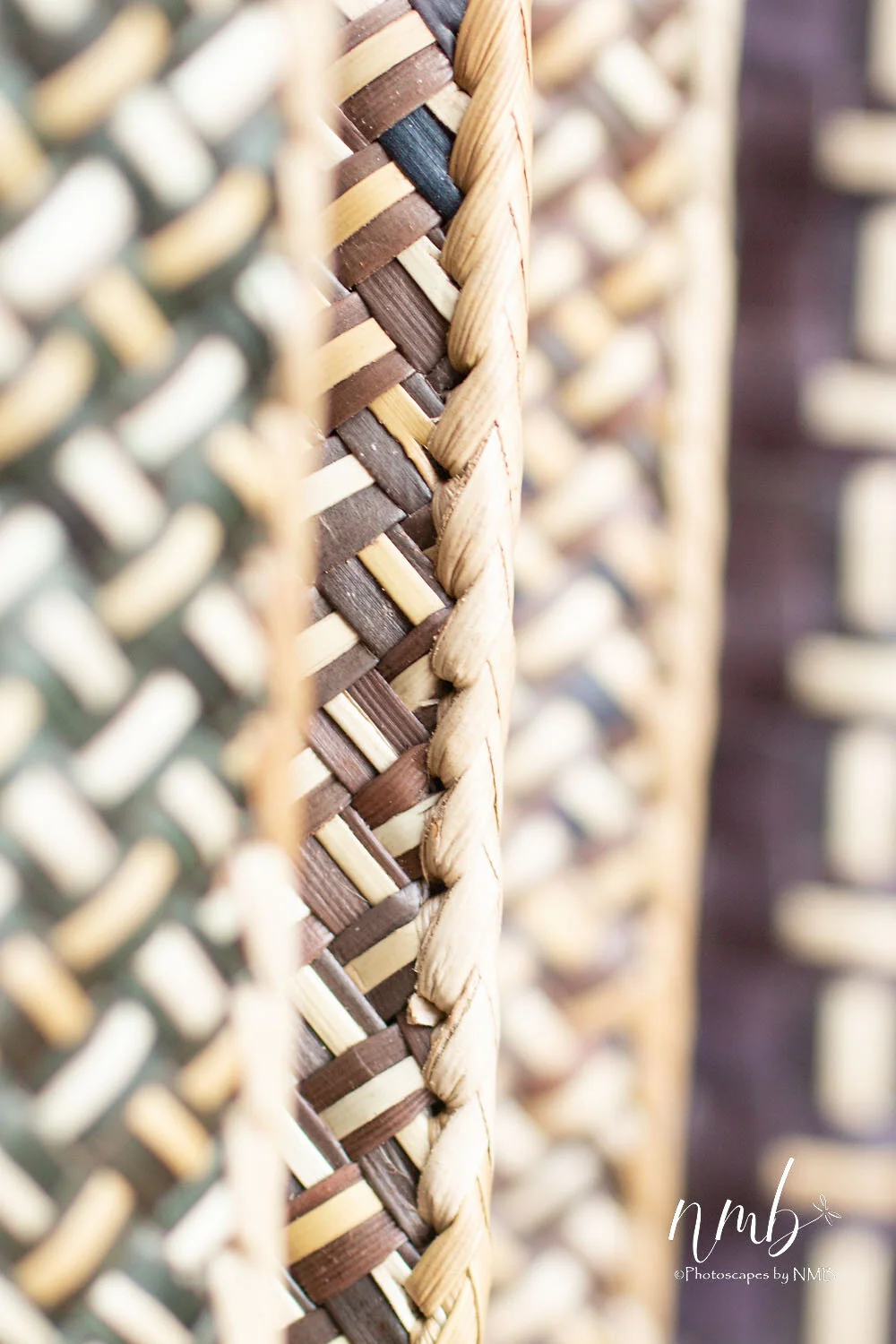 16web_texture.jpg