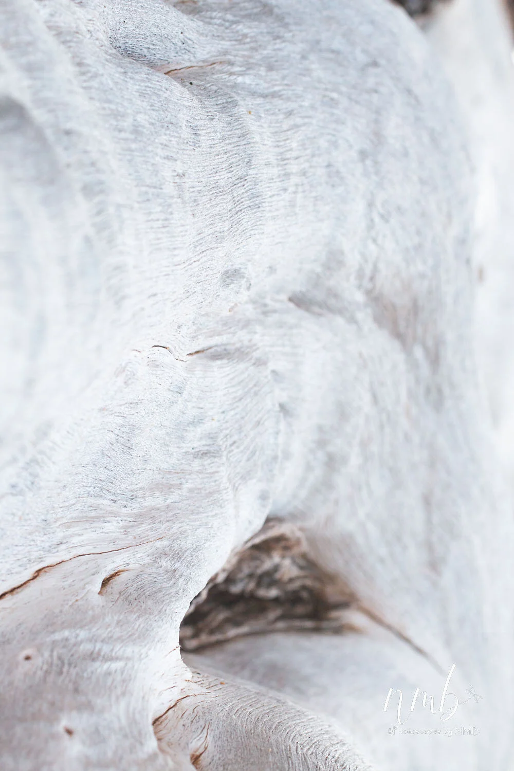 18web_texture.jpg