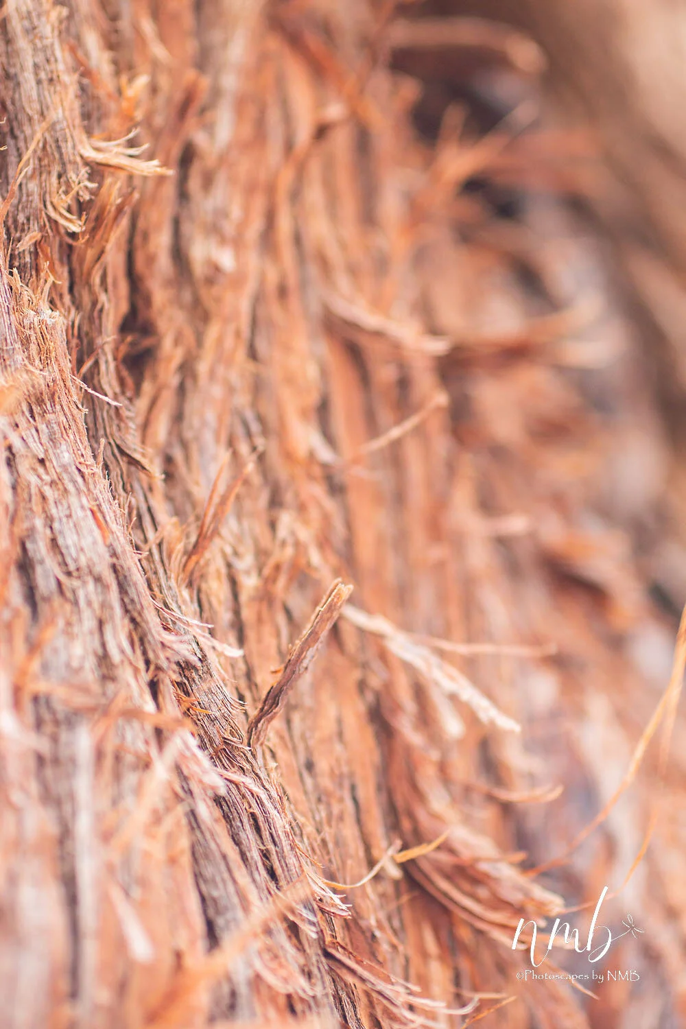 17web_texture.jpg