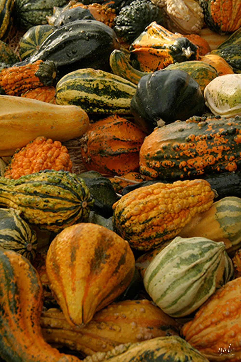 26web_texture.jpg