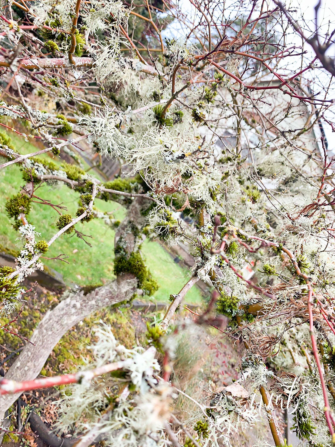 24web_texture.jpg