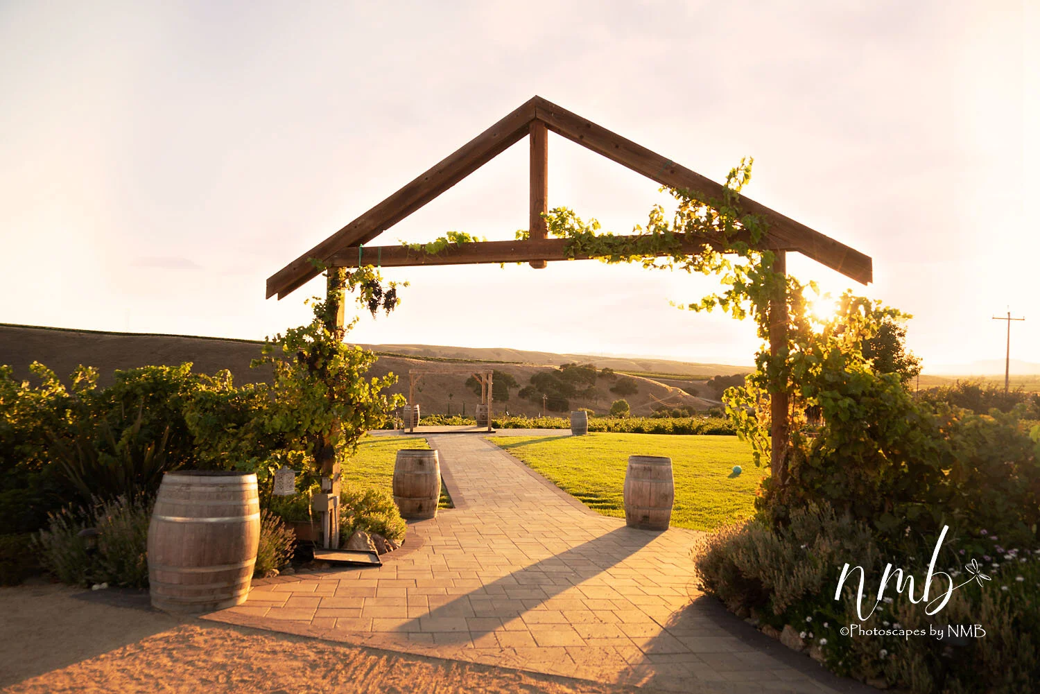 21web_vineyards.jpg
