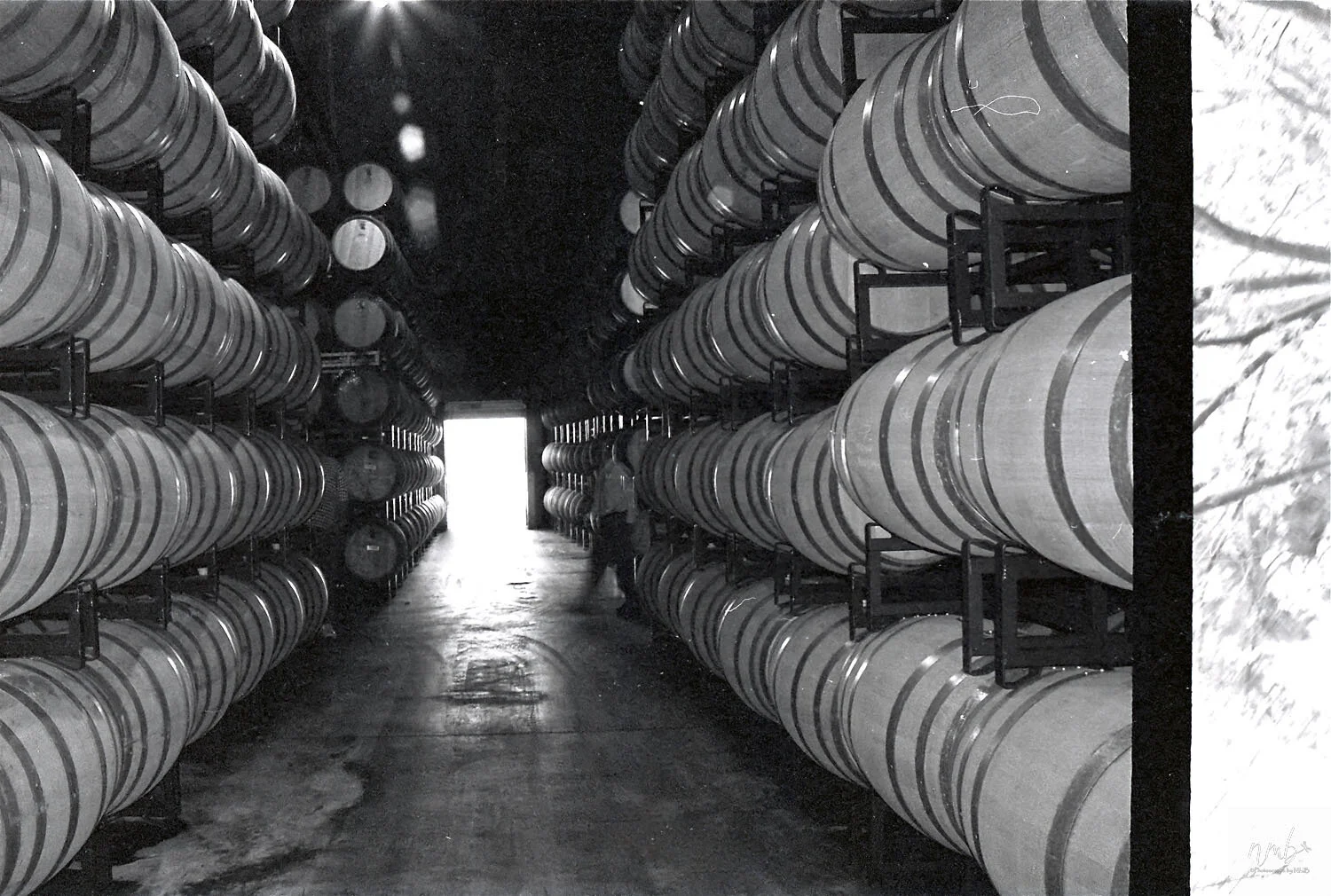 33web_vineyards.jpg
