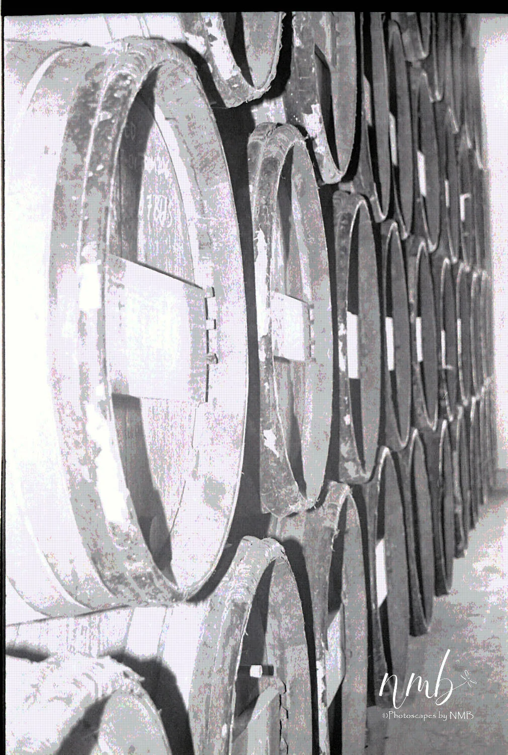 31web_vineyards.jpg
