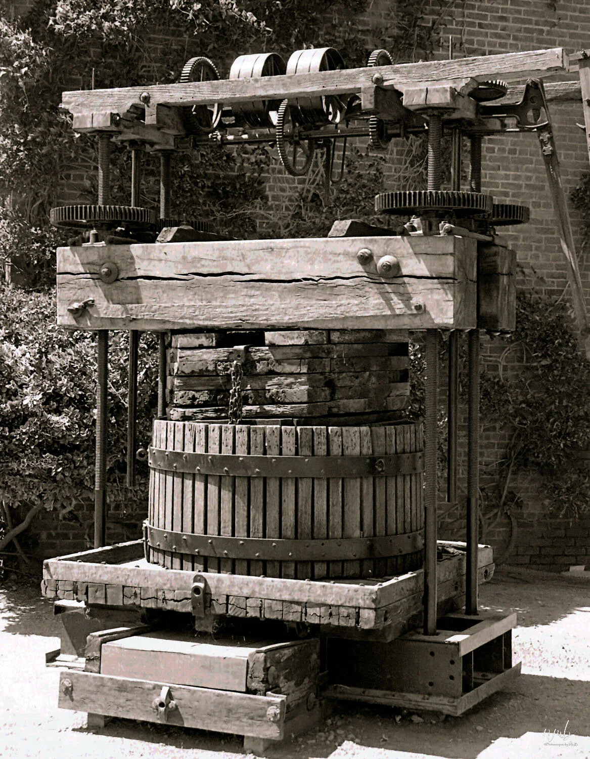 34web_vineyards.jpg