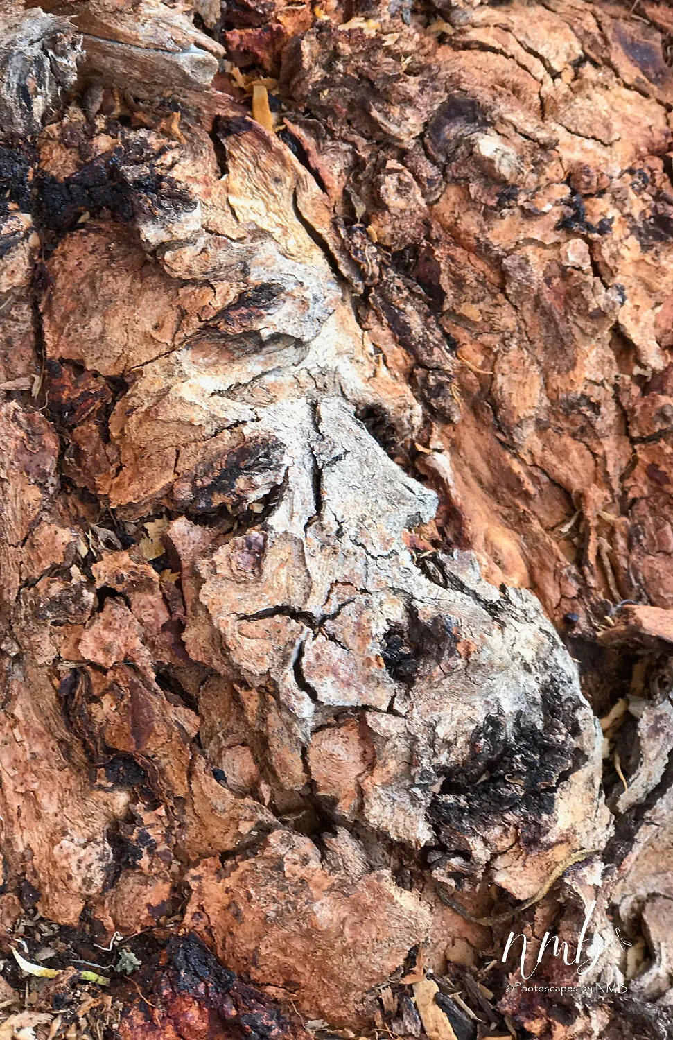 28web_texture web ready_1.jpg