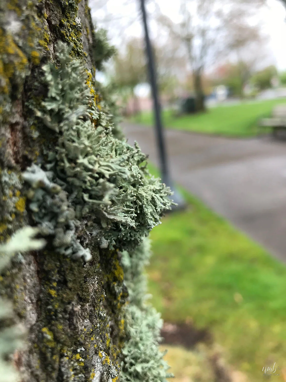 36web_texture web ready_1.jpg