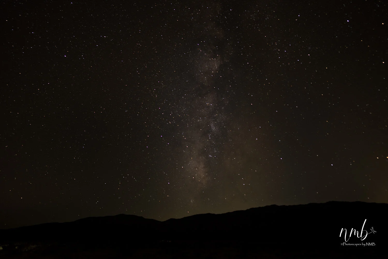 019borrago springs 080521 .jpg