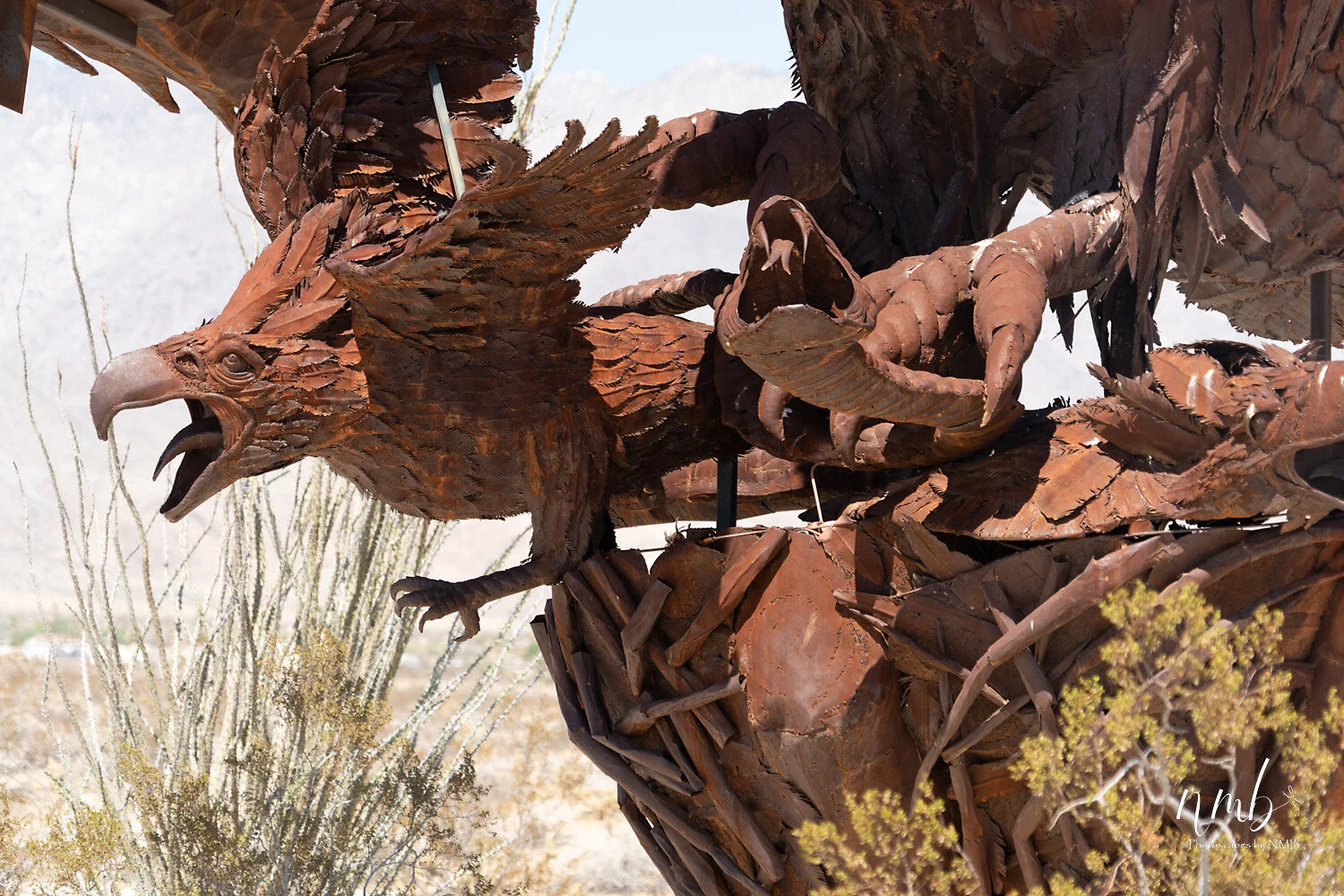 018borrago springs 080521 .jpg